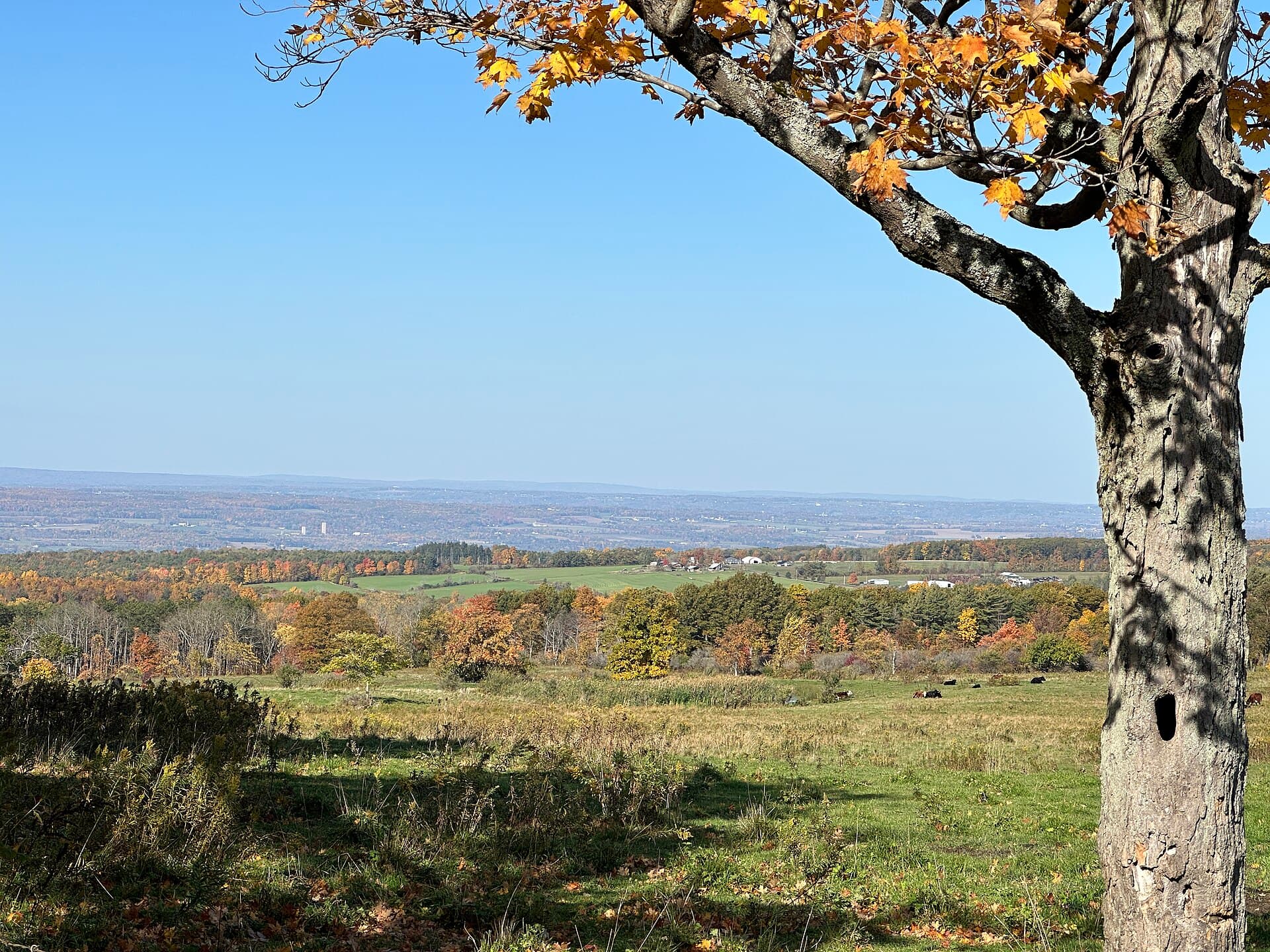 Autumn hills and open fields in the Finger Lakes National Forest area
